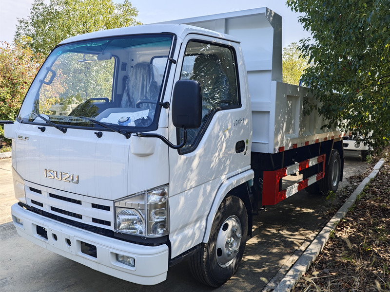Isuzu dump truck 4x2 5ton small tipper truck for sale